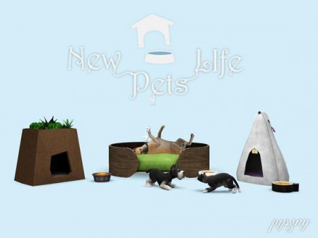 pets life