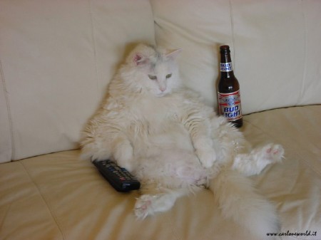 lazy