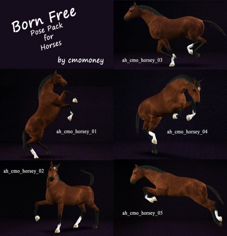 Horse poses
