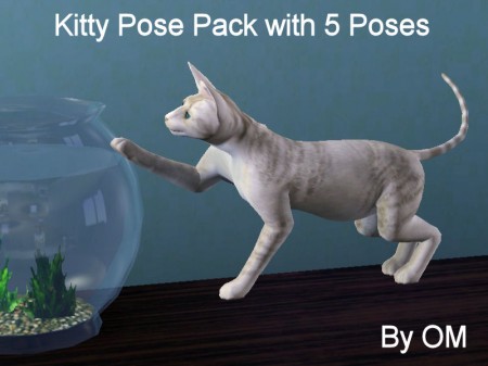 Kitty poses
