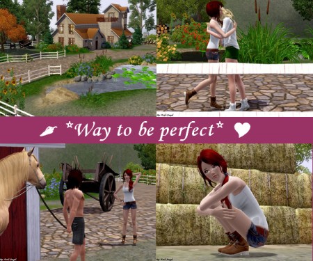 Way to be perfect