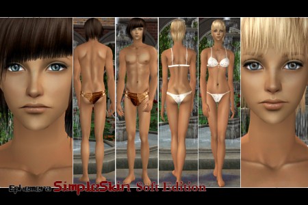 skin 3