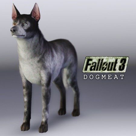 dogmeat